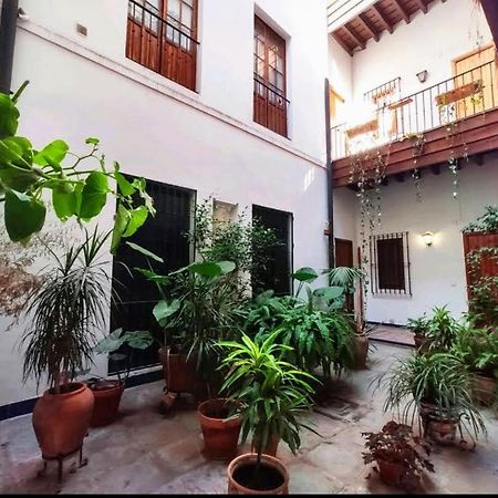 Coco Home Sevilla Urban Apartment Extérieur photo