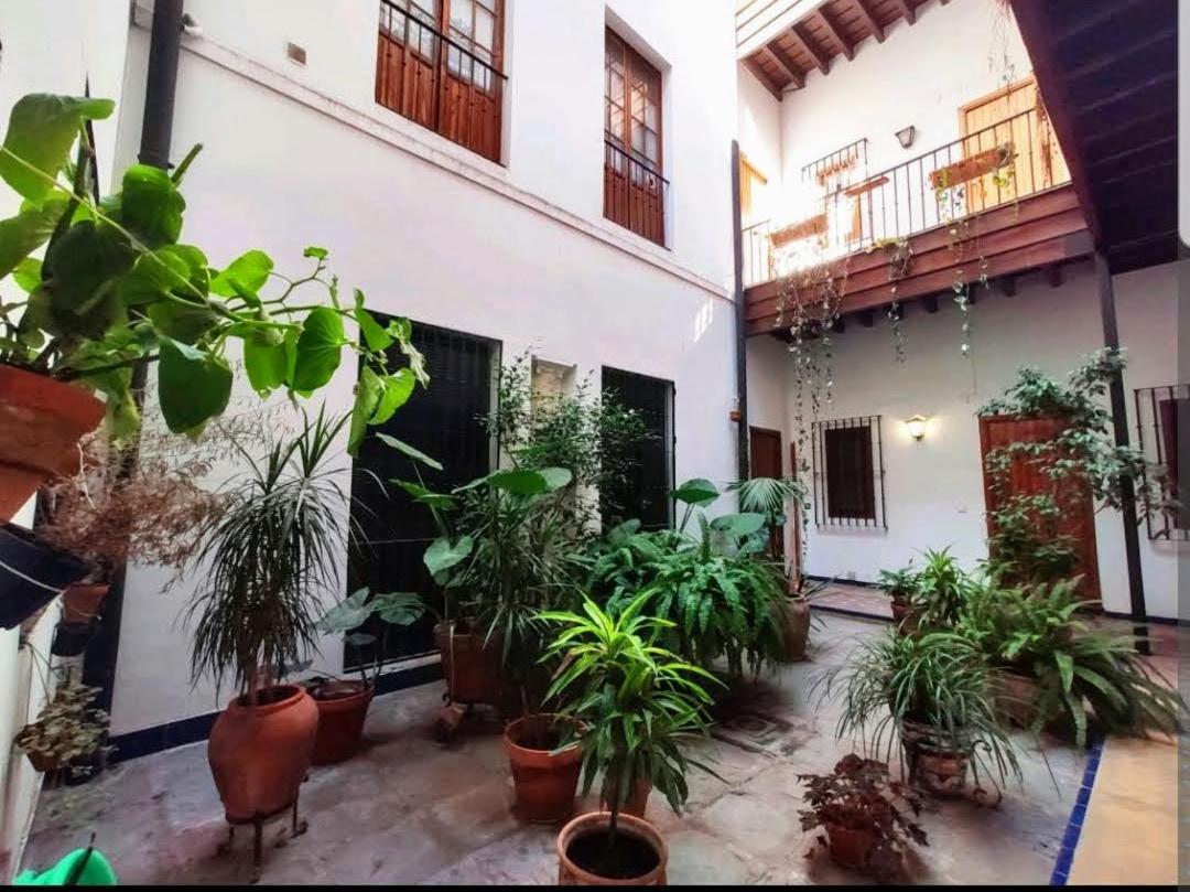 Coco Home Sevilla Urban Apartment Extérieur photo